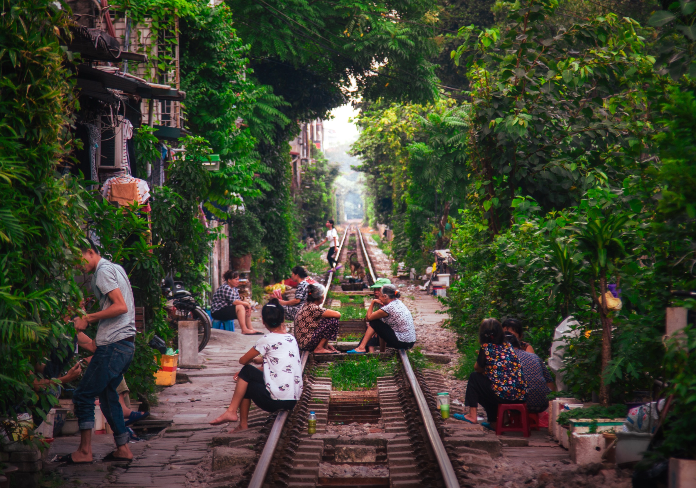 Neighbours sitting and chatting on the rails of a narrow train street, walled in by dense green foliage.